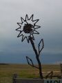 The metal sunflower.jpg